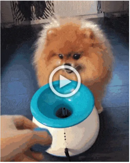 Просто гифки