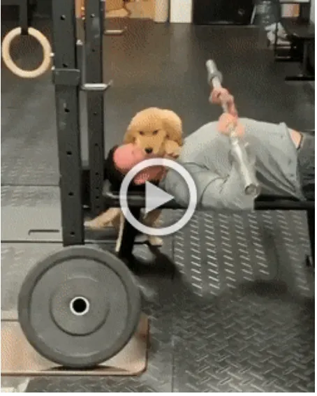 Классные гифки