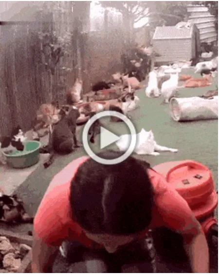 Просто гифки