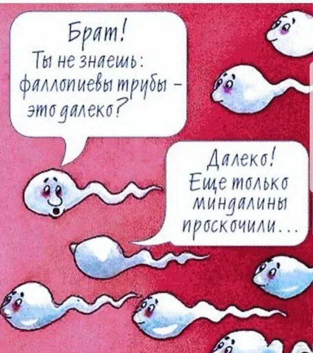 Немного картинок