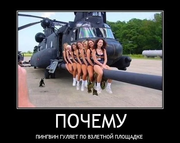 Так себе картинки