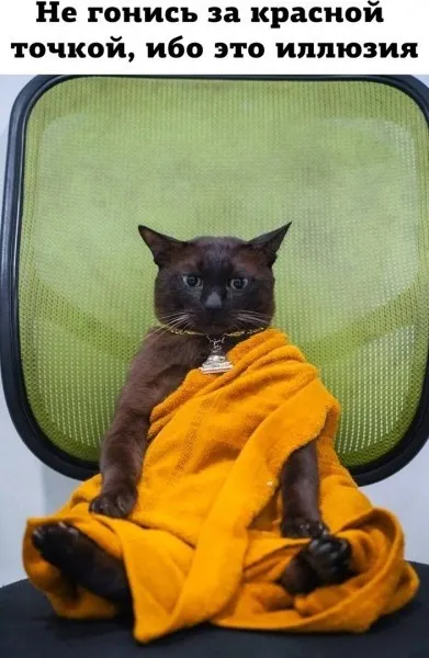 Так себе картинки