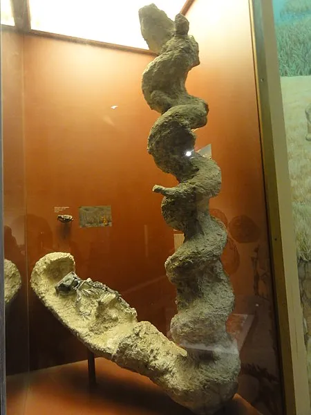 Штопор дьявола. Откуда взялось это странное образование в форме спирали 20 млн лет назад