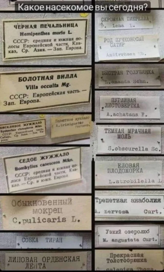 Картинки