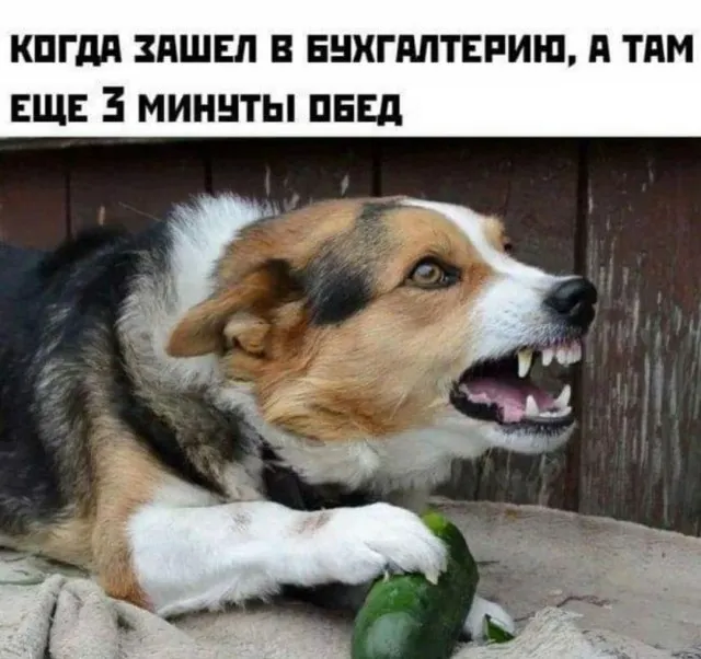 Стыренные картинки