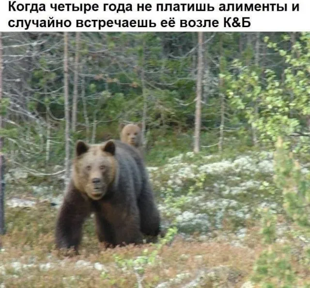 Неадекватность