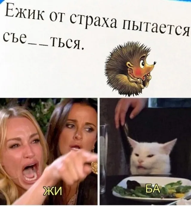 Юмор в картинках и без