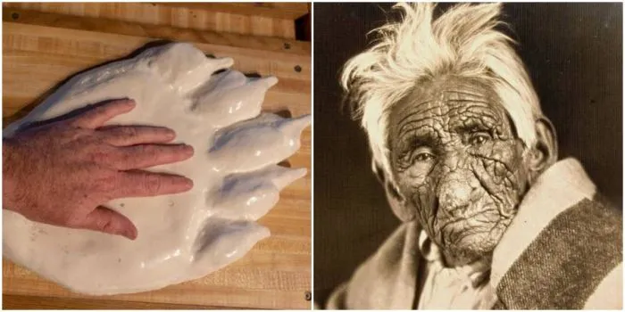 20 любопытных кадров с просторов сети