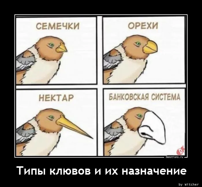 Забавные демотиваторы