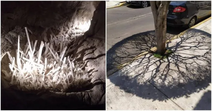 14 доказательств того, что природа умеет удивлять