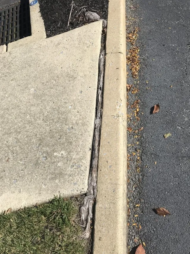 14 доказательств того, что природа умеет удивлять