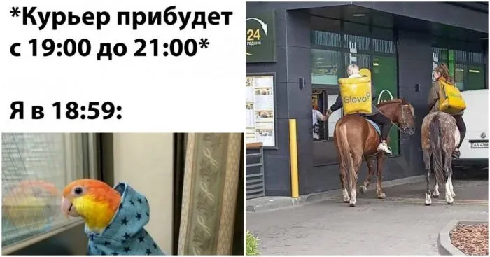 "Привезли газировку, которую кто-то уже пил": ситуации с доставкой из продуктовых