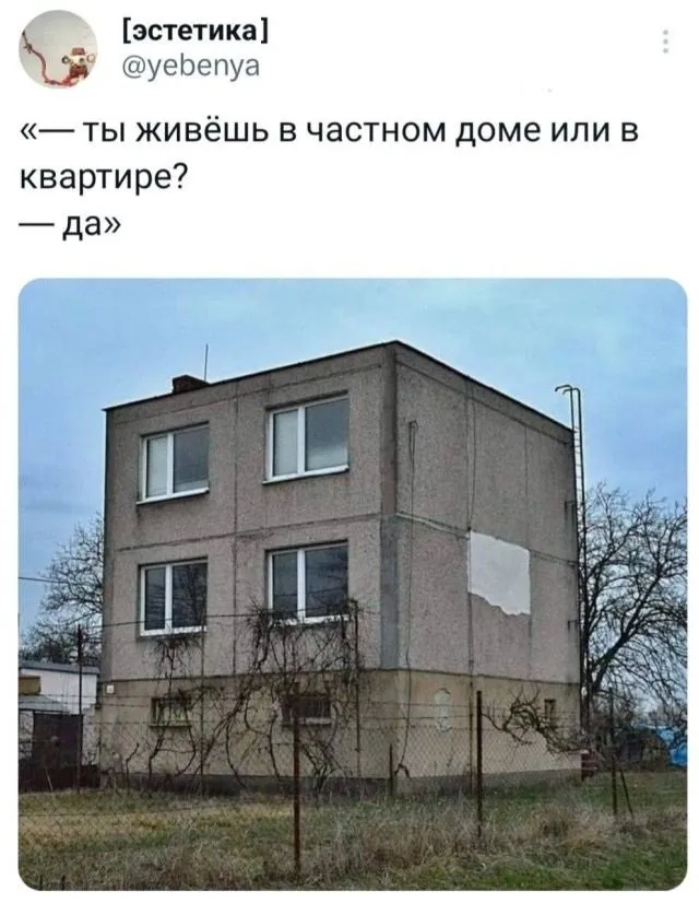 Подборка забавных твиов обо всем