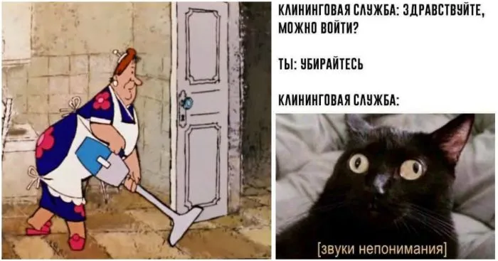 "Вызвал уборщицу": честные истории про клининг
