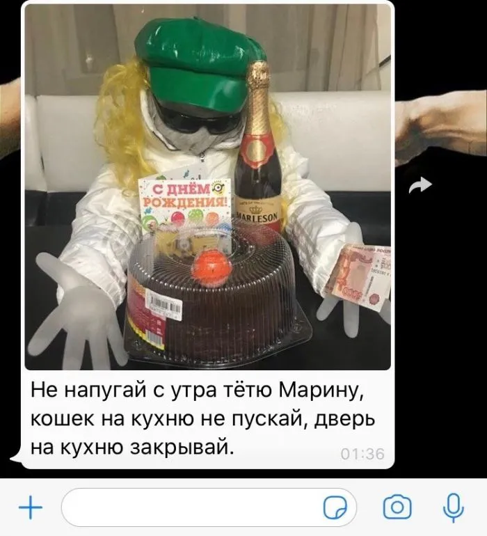 СМС-сообщения и диалоги с родственниками, от которых ничего хорошего не жди