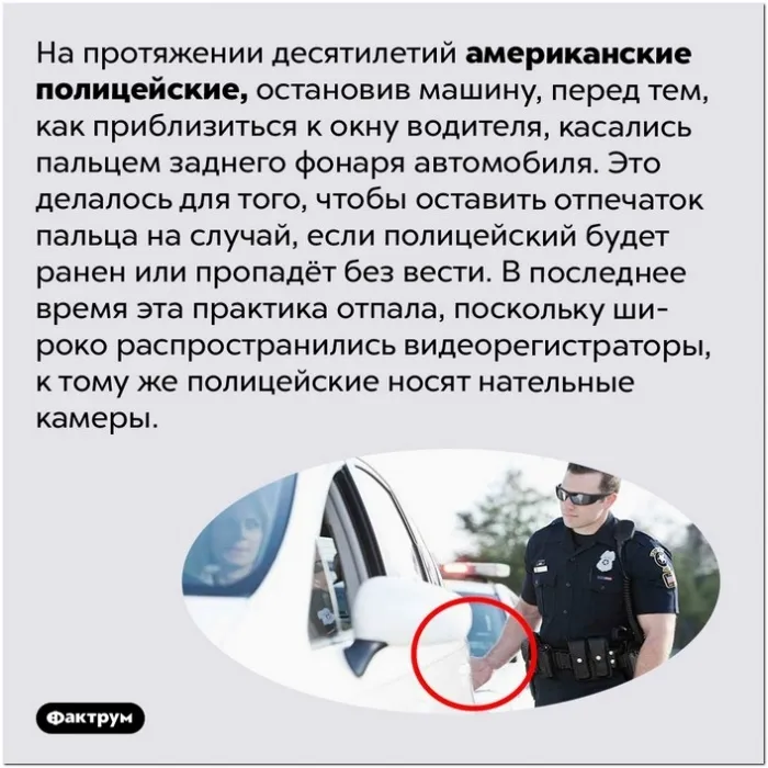 Интересные и удивительные факты обо всем