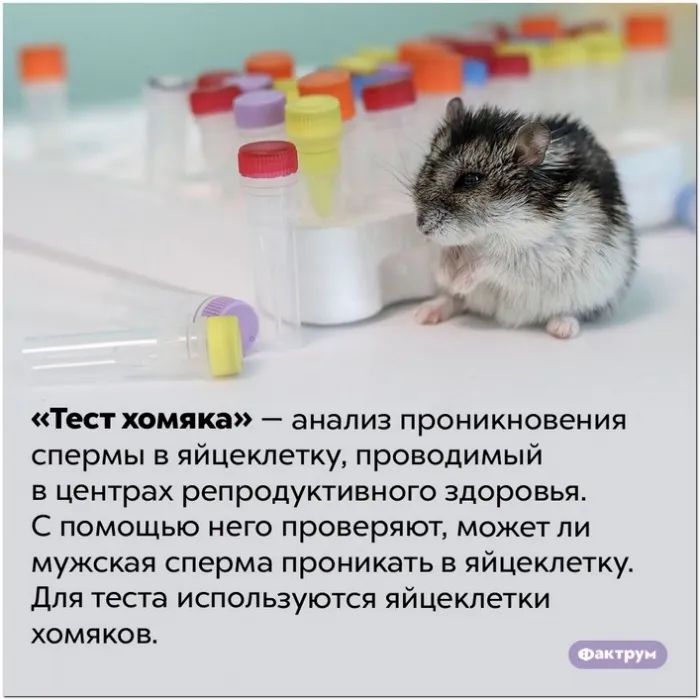 Интересные и удивительные факты обо всем