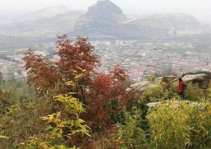 Восстание Матушки Лу⁠⁠