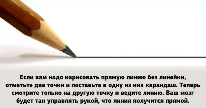 Дюжина полезных советов, чтобы не налажать в игре под названием "Жизнь"