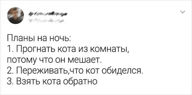 Подборка забавных твитов о животных