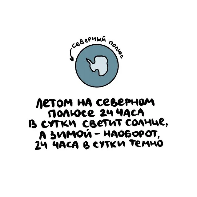 Интересные факты на все случаи жизни