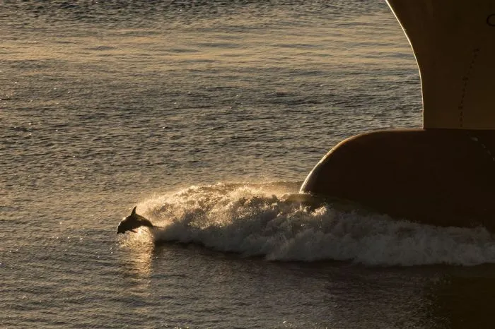 Фотоподборка