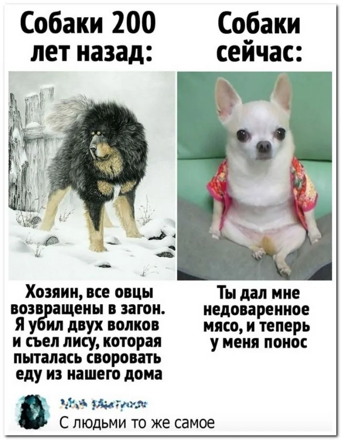 Скрины из соцсетей