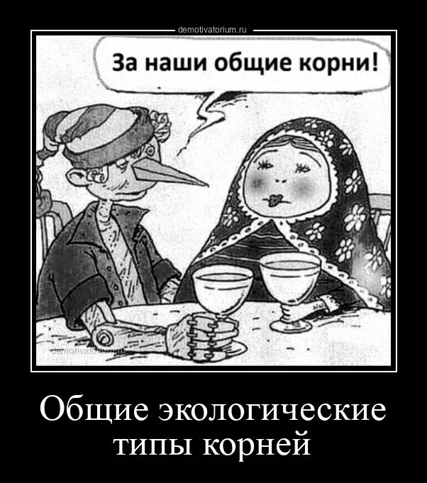 Новые демотиваторы