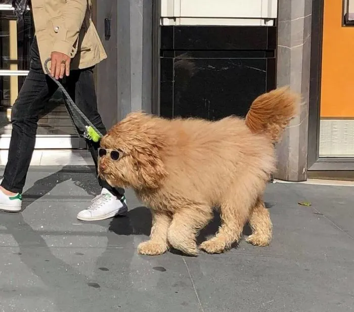 На общую тему