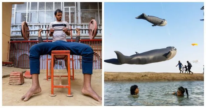 25 увлекательных и остроумных уличных моментов, запечатленных тайским фотографом