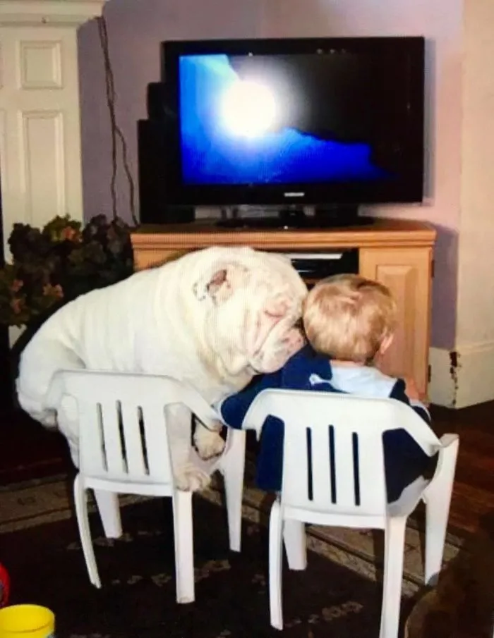 На общую тему