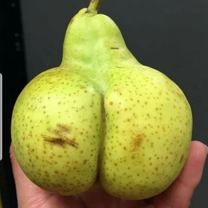 Дары природы – чужие свои своих