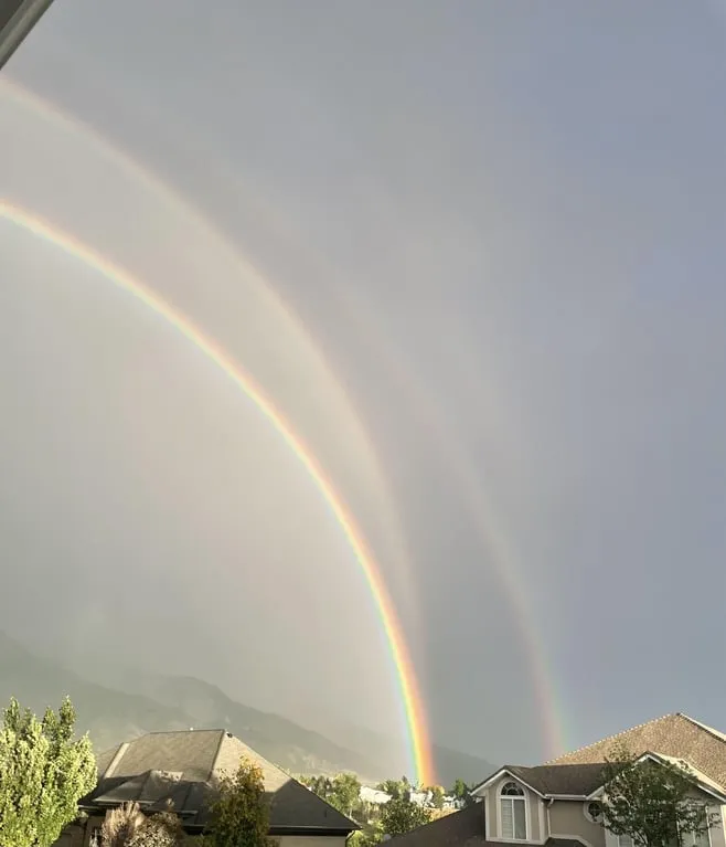 15 любопытных фотографий необычных вещей