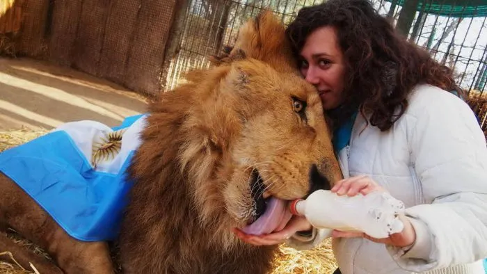 На общую тему