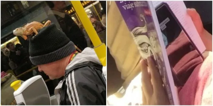 20 курьёзных вещей, которые заметили на публике