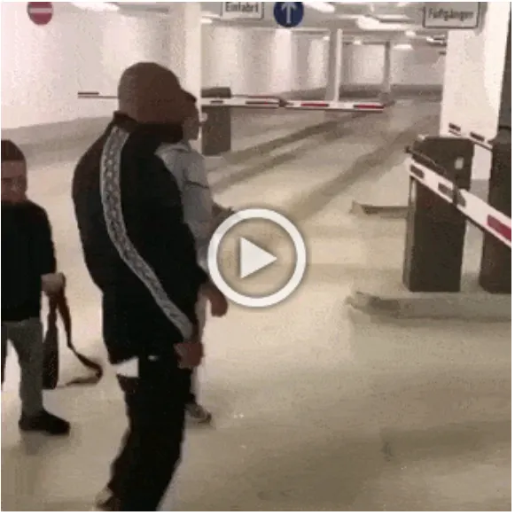 Просто гифки