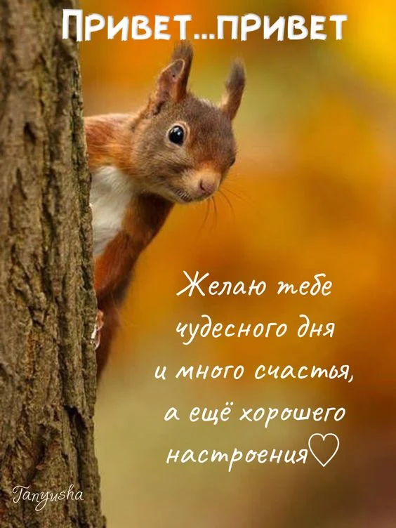 Прикольные и просто красивые картинки