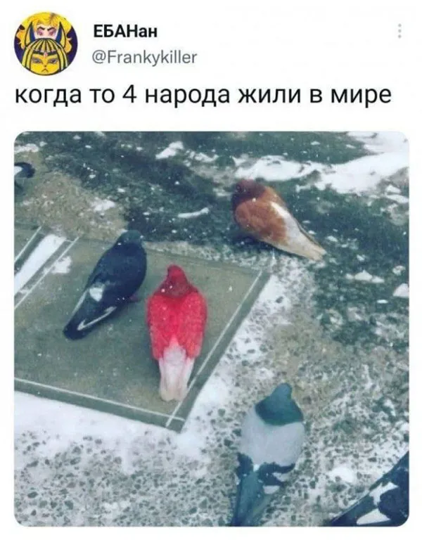 Баяны заказывали?
