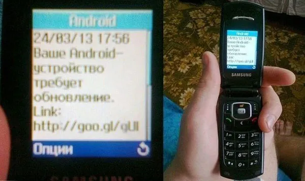 Бояны: свежие