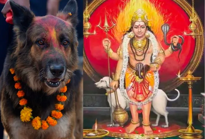 Есть ли души у животных, и что их ждёт после смерти согласно христианству, исламу и другим религиям? Рассказываю подробно