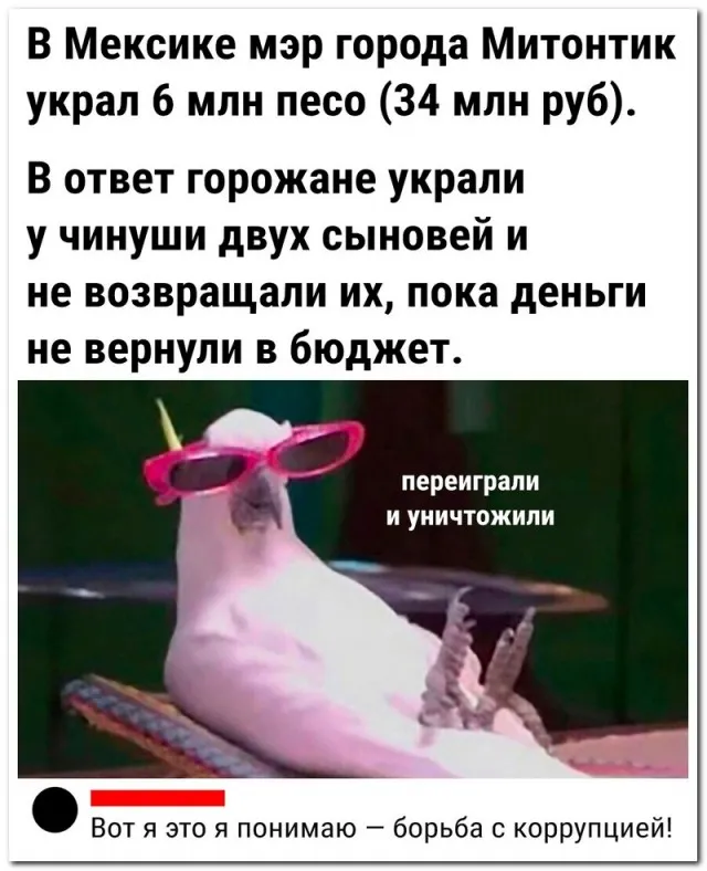 Забавные комментарии из социальных сетей