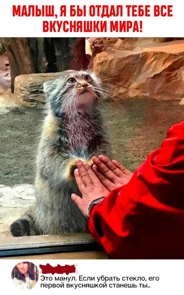 Так себе картинки