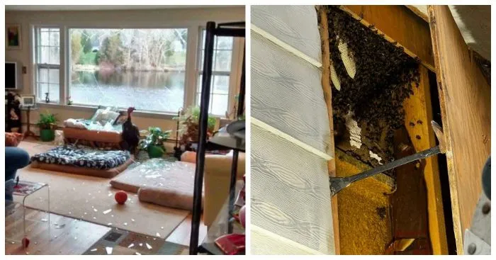 25 человек, которые купили дом своей мечты и почти сразу пожалели об этом