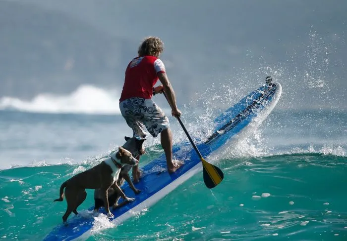 На общую тему