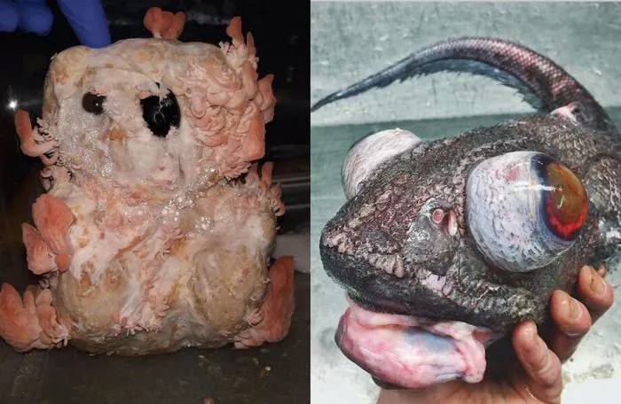 12 раз, когда природа создала чудовищные вещи