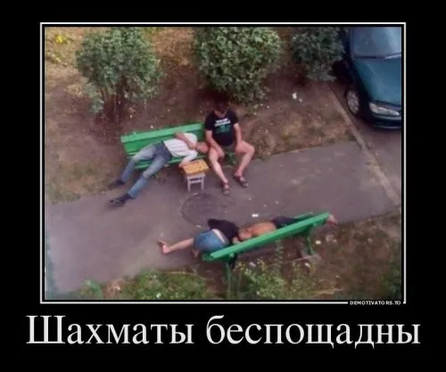 Демотиваторы