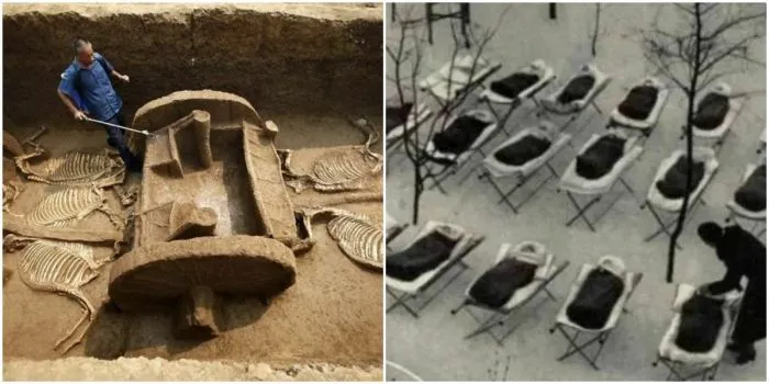 40 любопытных исторических снимков из разных эпох