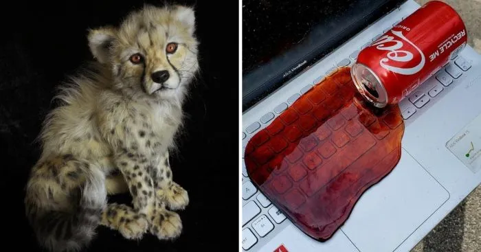 19 впечатляющих творений ручной работы