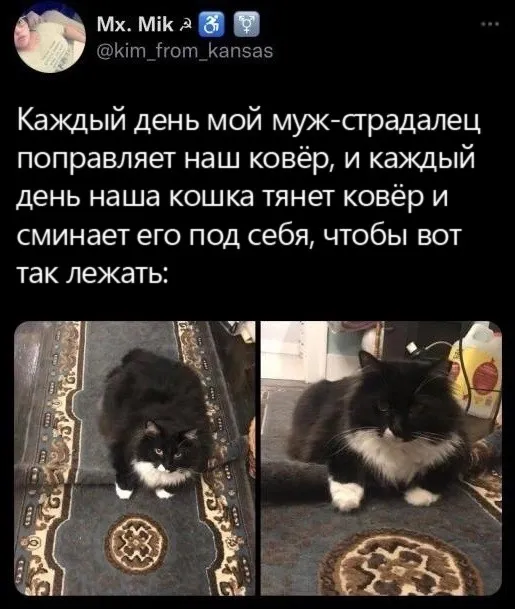 Скрины из соцсетей