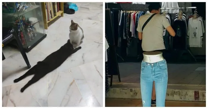 22 запутанных кадров, доказывающих, что даже самый острый глаз может ошибиться